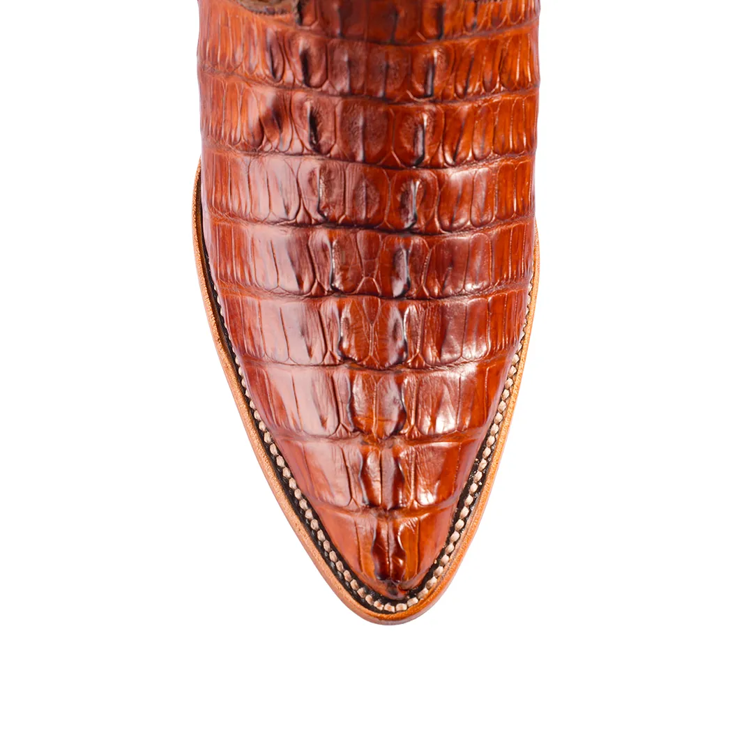 ESPECIAL BOTA  E19 CAIMAN EXT SHEDRON